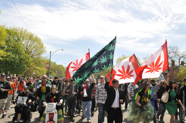 cannabis activism canada_small