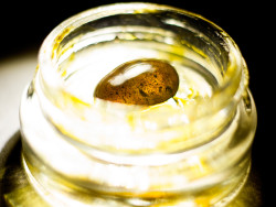 El aceite de cannabis se clasifica en la clase B (riesgo alto), junto con el hachís, morfina, opio, y éxtasis. (CC. Andrés Rodríguez)