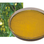 A guide to safe use of organic pesticides -2- Neem oil is a safe, non-toxic organic oil that will repel insects from a grow room