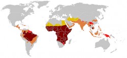 Régions du monde à haut risque de paludisme (Ride-Chile.com).