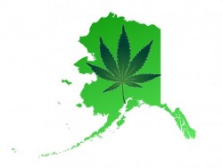 cbd oil laws in alaska