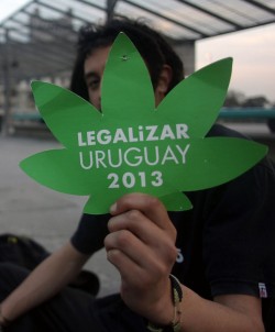 de nombreux Uruguayens ont défilé dans les rues pour célébrer cette nouvelle législation.