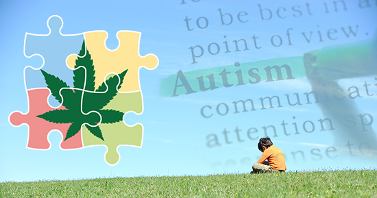 Cannabis-and-autism-Sensi-Seeds-blog.jpg