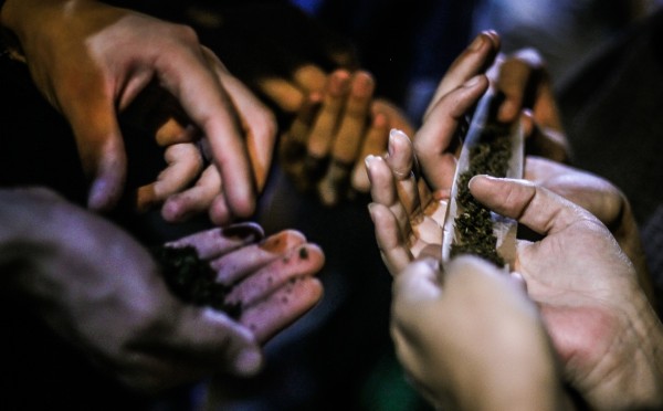 La Cour suprême a entrouvert la porte à la légalisation de la marijuana récréative au Mexique (CC. Circuito Fora do Eixo)