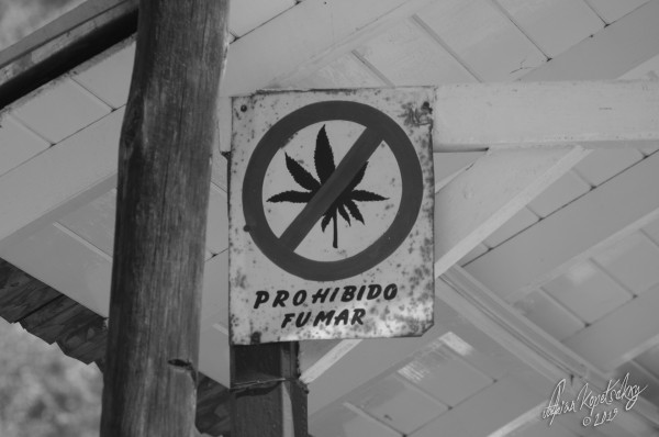 Les juges de la Cour suprême estiment que l’interdiction de fumer de la marijuana viole les droits des Mexicains (CC. Fabian Kopetsckny)