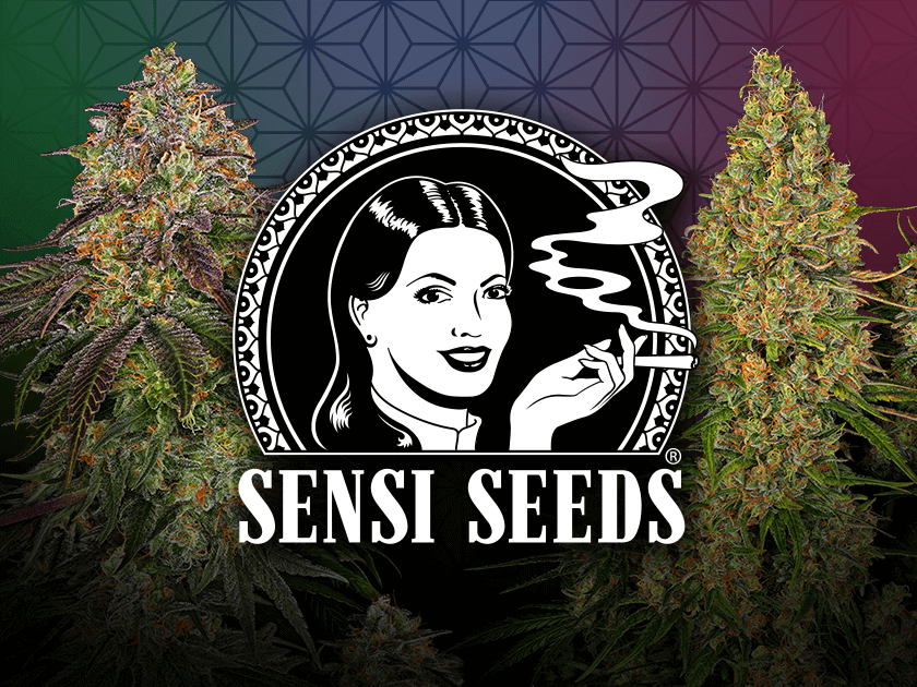 Sensi Seeds - #1 Cannabis Seed Bank Since 1985 - Sensi Seeds