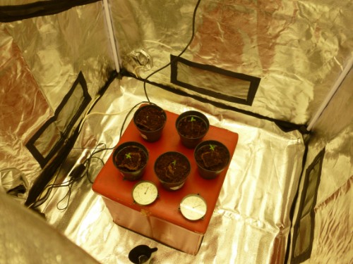 Bewertung mit diesem Foto anzeigen