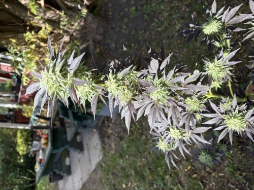 Pokaż opinię z tym zdjęciem