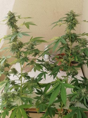 Bewertung mit diesem Foto anzeigen