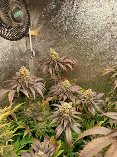 Show review with this photo