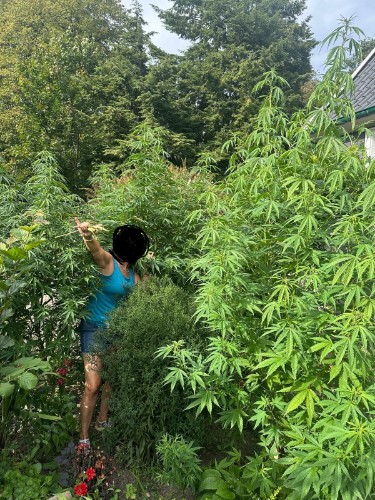 Montrer l’avis pour cette photo