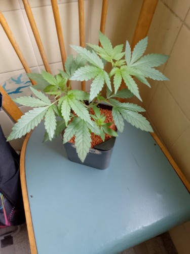 Bewertung mit diesem Foto anzeigen