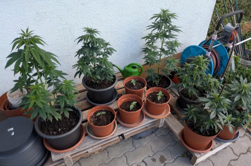 Bewertung mit diesem Foto anzeigen