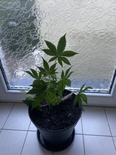 Bewertung mit diesem Foto anzeigen