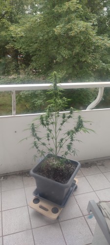 Bewertung mit diesem Foto anzeigen
