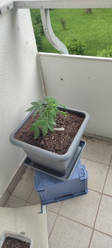 Bewertung mit diesem Foto anzeigen