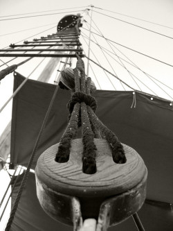 In Spanje werden scheepsartikelen zoals touwen, netten, zeilen, trossen enz. eeuwenlang uit hennep vervaardigd, wegens de stevigheid ervan (©Arnaldo Gutiérrez)