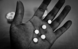 Opiates 1 - Sensi Seeds blog