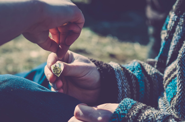 Bijna 1,5 miljoen Kiwis hebben cannabis geprobeerd en zo’n 400.000 zijn regelmatige gebruikers. (CC. Rachel Bender)